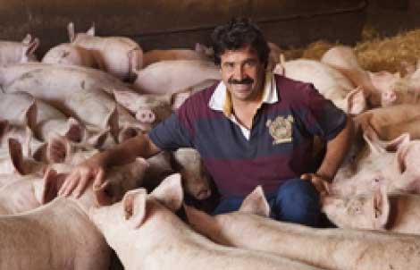 Producteurs courtois